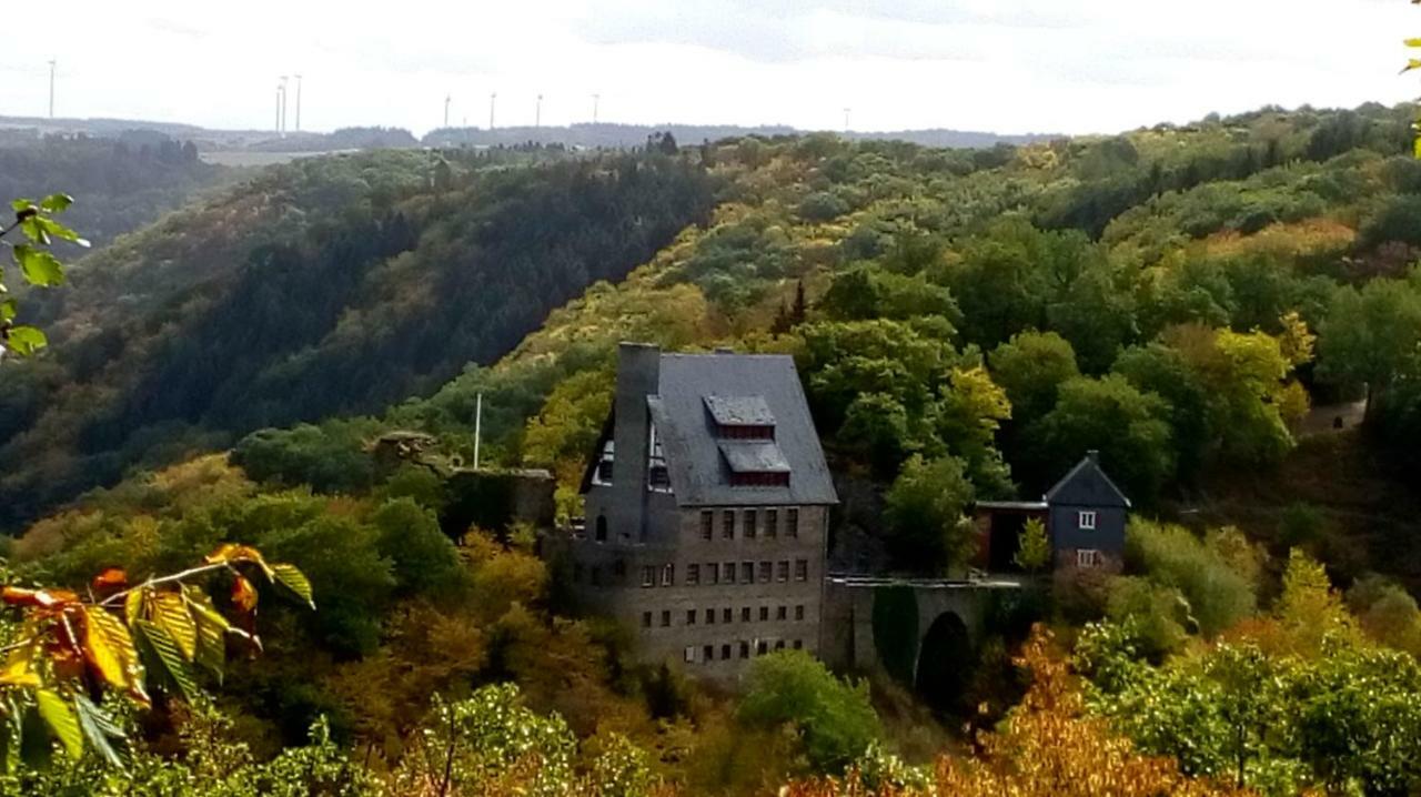Ferienhof Mies Steffenshof المظهر الخارجي الصورة